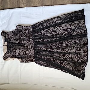 JESSICA HOWARD Polka Dot Black and Beige Dress. Size 12.